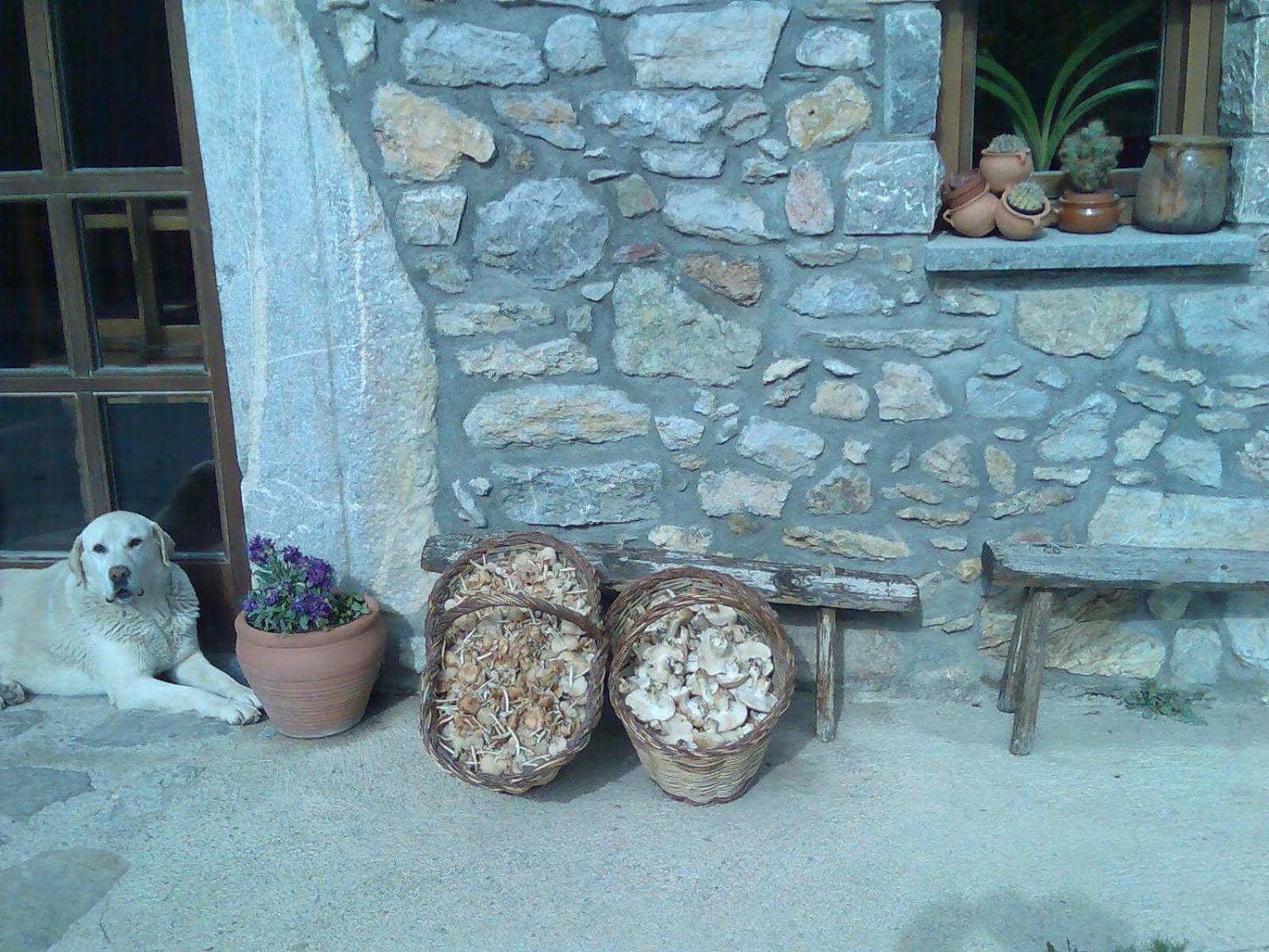Hotel Els Torrents Bellver De Cerdanya Exterior foto